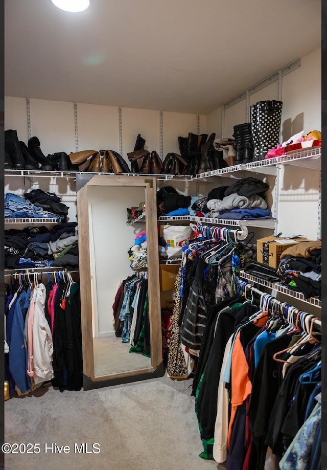 1714 Pine St, Elizabeth City, NC 27909 - view of walk in closet