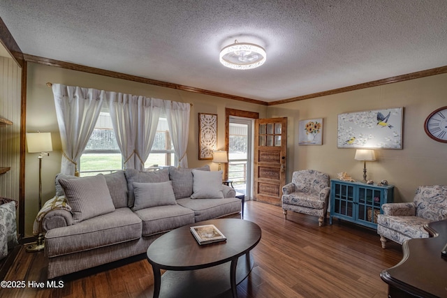 living room featuring wood finished floors, ornamental molding, and a textured ceiling