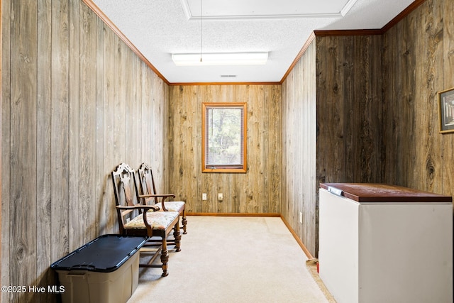 living area with attic access, wooden walls, carpet, and a textured ceiling