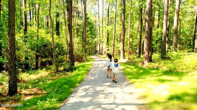 179 N Brightleaf Dr, Minnesott Beach, NC 28510 - view of home's community with a forest view