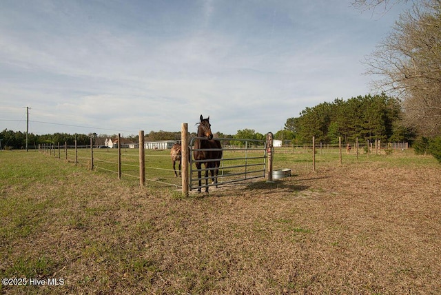 1560 White Oak River Rd, Maysville, NC 28555 - view of yard with a view of rural / pastoral area