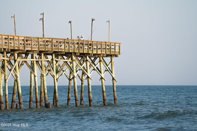 view of dock with a pier and a water view