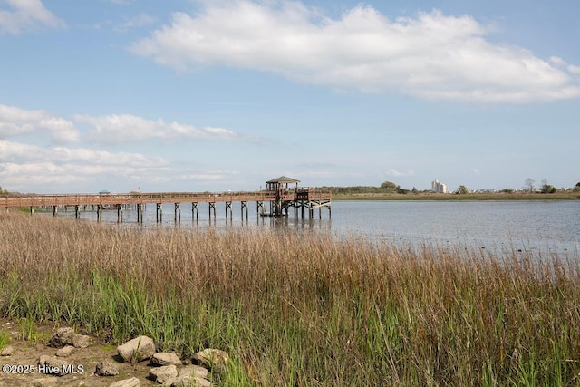 1135 Park Rd SW Unit 1203, Sunset Beach, NC 28468 - dock with a water view