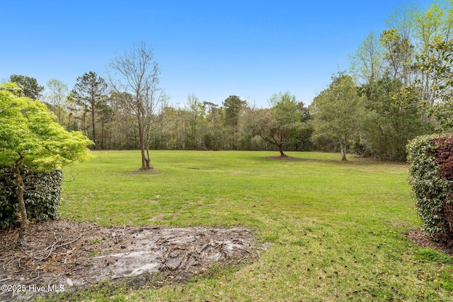 178 Edgewater Cir, Sunset Beach, NC 28468 - view of yard
