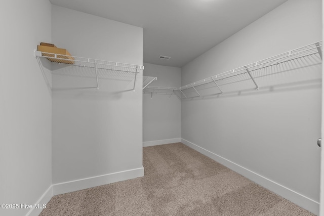 804 Winds Way, Aberdeen, NC 28315 - spacious closet with carpet floors