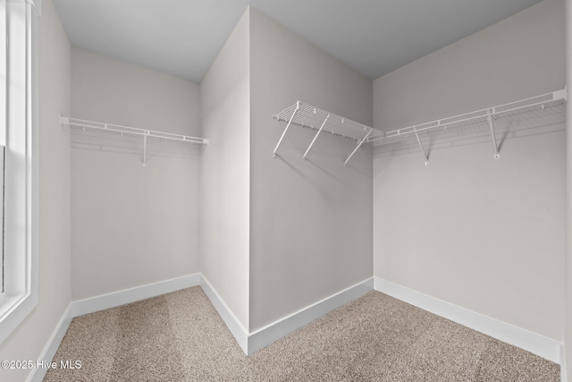804 Winds Way, Aberdeen, NC 28315 - walk in closet featuring carpet