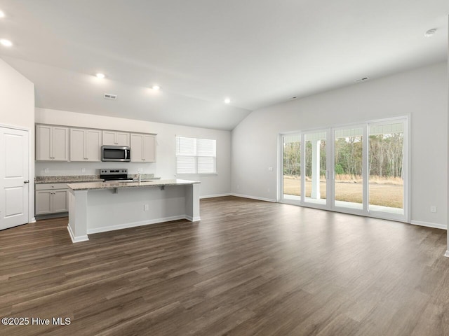 113 Legare St Lot 254, Wilmington, NC 28411 - kitchen featuring stainless steel appliances, lofted ceiling, a center island with sink, dark wood-style floors, and recessed lighting