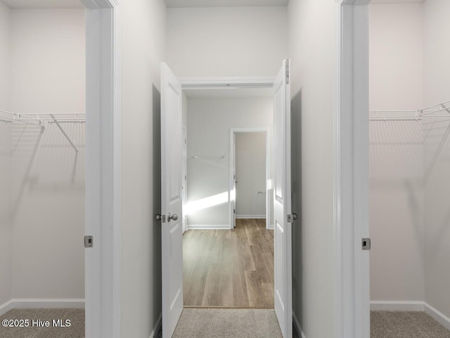 113 Legare St Lot 254, Wilmington, NC 28411 - hall featuring baseboards and wood finished floors