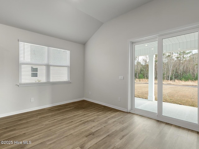113 Legare St Lot 254, Wilmington, NC 28411 - empty room featuring plenty of natural light, wood finished floors, and lofted ceiling