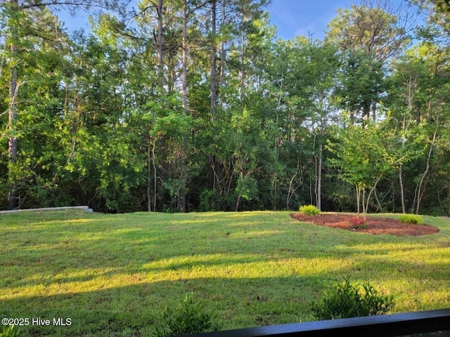 view of yard featuring a wooded view