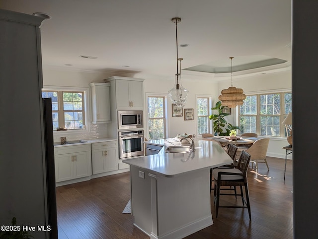 kitchen with stainless steel appliances, a sink, and plenty of natural light