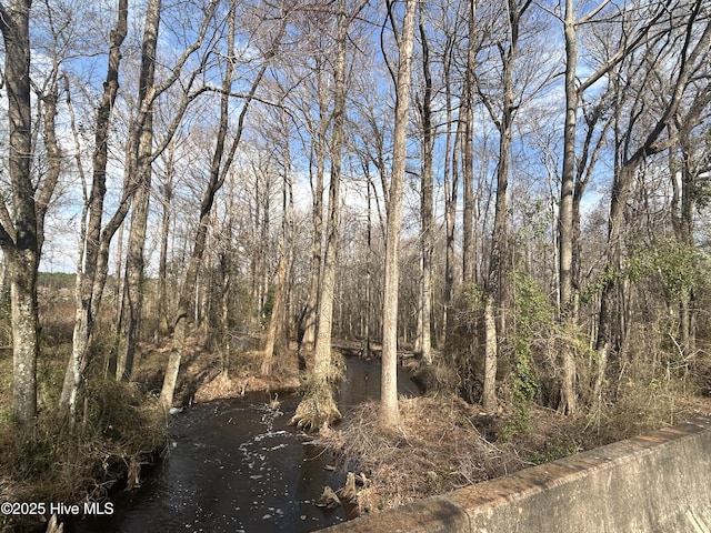 TBD Gum Shaw Rd, White Oak, NC 28399