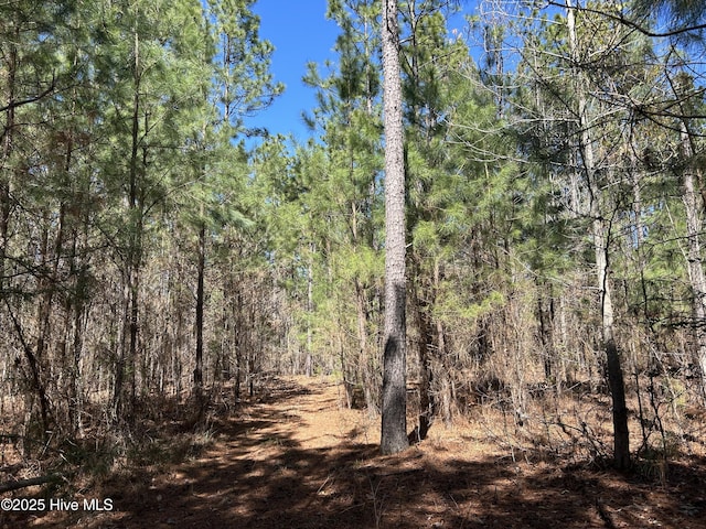 TBD Gum Shaw Rd, White Oak, NC 28399