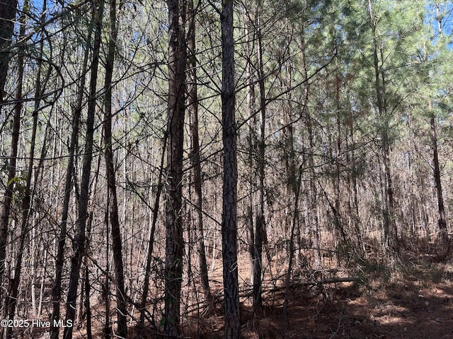 TBD Gum Shaw Rd, White Oak, NC 28399