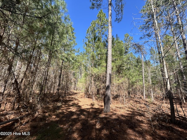 TBD Gum Shaw Rd, White Oak, NC 28399