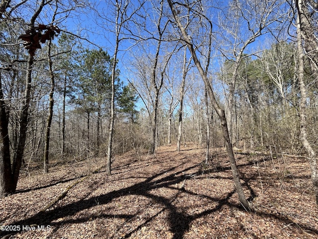 TBD Gum Shaw Rd, White Oak, NC 28399