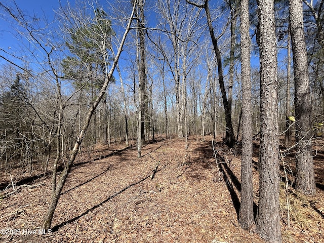 TBD Gum Shaw Rd, White Oak, NC 28399