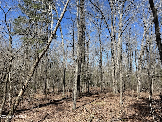 TBD Gum Shaw Rd, White Oak, NC 28399