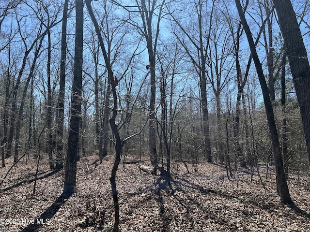 TBD Gum Shaw Rd, White Oak, NC 28399