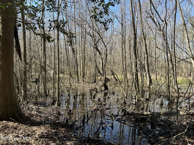 TBD Gum Shaw Rd, White Oak, NC 28399