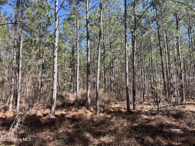 TBD Gum Shaw Rd, White Oak, NC 28399