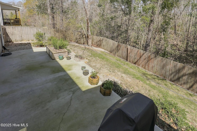 202 Peggys Trce, Sneads Ferry, NC 28460 - view of yard featuring a fenced backyard and a patio