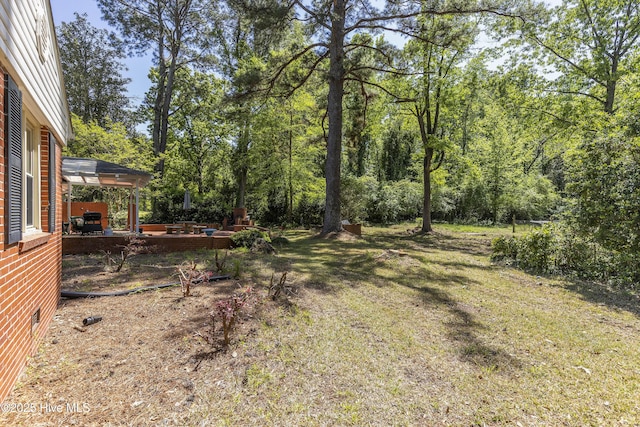 view of yard