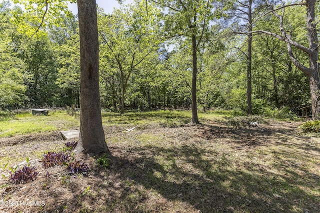 view of local wilderness featuring a view of trees