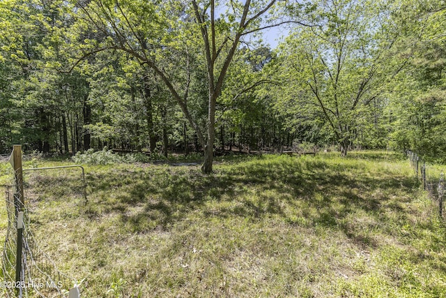 view of yard featuring a wooded view