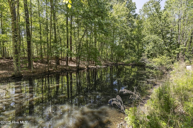 view of water feature