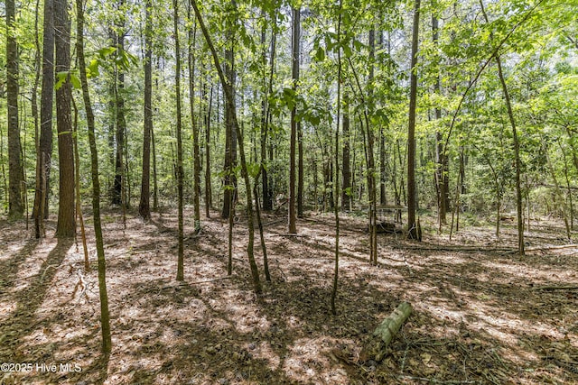 view of local wilderness featuring a view of trees