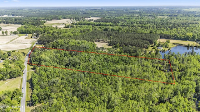 birds eye view of property with a view of trees and a water view