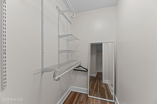 1450 State Camp Rd, Vanceboro, NC 28586 - spacious closet with dark wood-type flooring