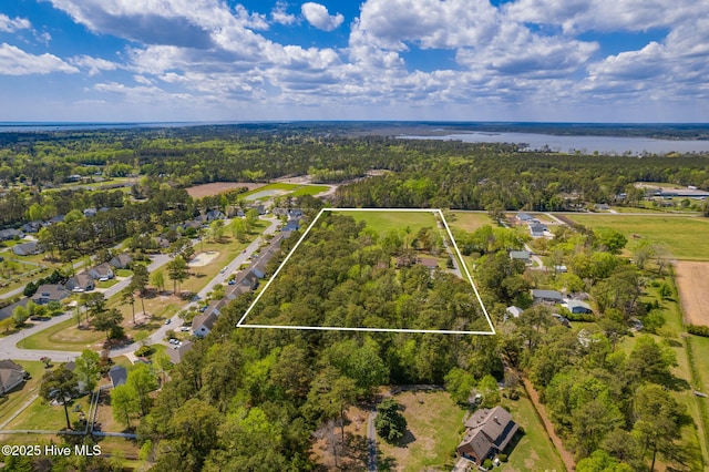 bird's eye view featuring a water view and a forest view