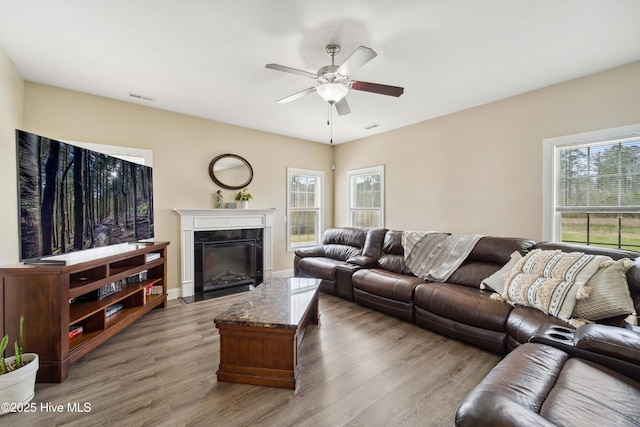313 March Sea Ln, Jacksonville, NC 28546 - living area featuring a ceiling fan, wood finished floors, and a high end fireplace
