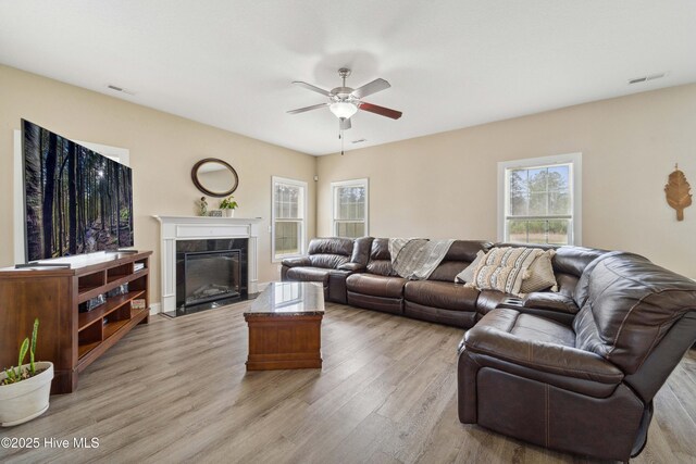 313 March Sea Ln, Jacksonville, NC 28546 - living area featuring a ceiling fan, light wood-style floors, a fireplace, and plenty of natural light