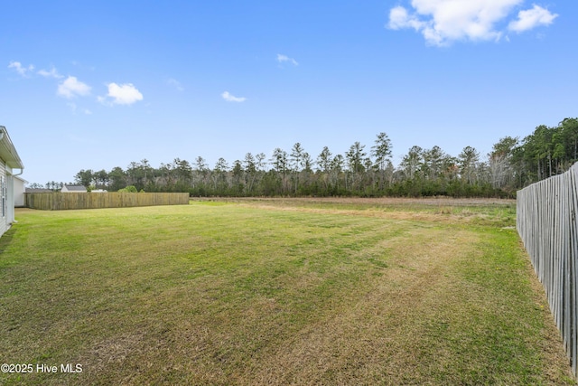 313 March Sea Ln, Jacksonville, NC 28546 - view of yard