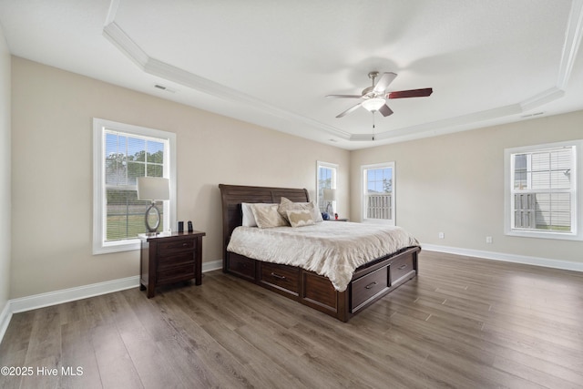 313 March Sea Ln, Jacksonville, NC 28546 - bedroom with a tray ceiling, wood finished floors, multiple windows, crown molding, and baseboards