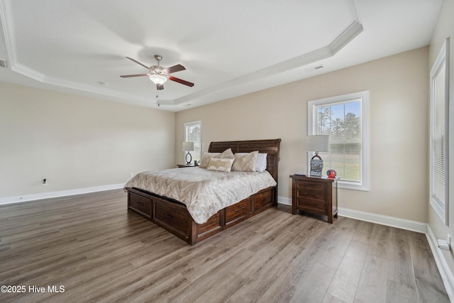 313 March Sea Ln, Jacksonville, NC 28546 - bedroom featuring a tray ceiling, light wood-style floors, multiple windows, baseboards, and ornamental molding