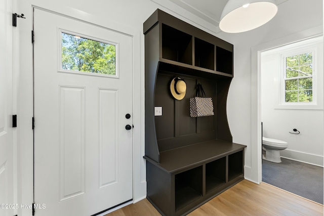 mudroom with light wood-style flooring, baseboards, and plenty of natural light
