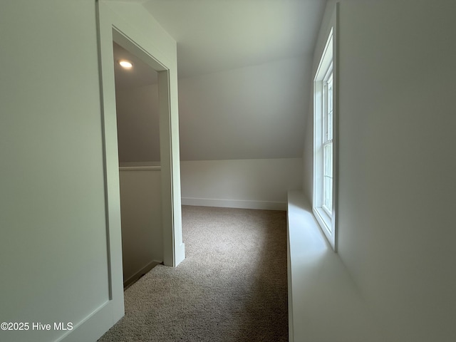117 Victoria Dr, Wilmington, NC 28401 - additional living space featuring carpet, lofted ceiling, and baseboards
