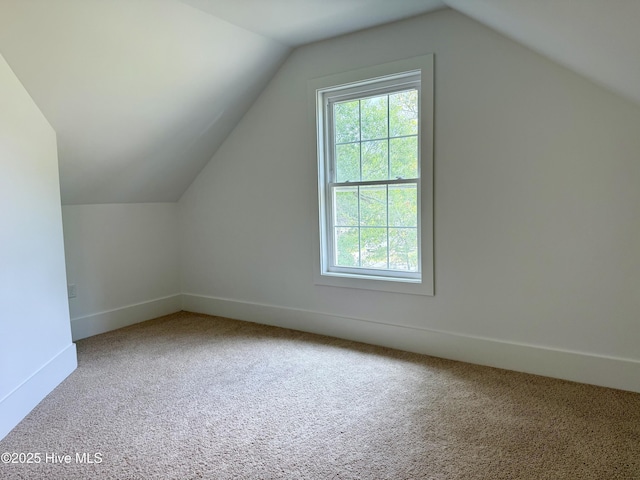 117 Victoria Dr, Wilmington, NC 28401 - additional living space with carpet floors, healthy amount of natural light, baseboards, and vaulted ceiling