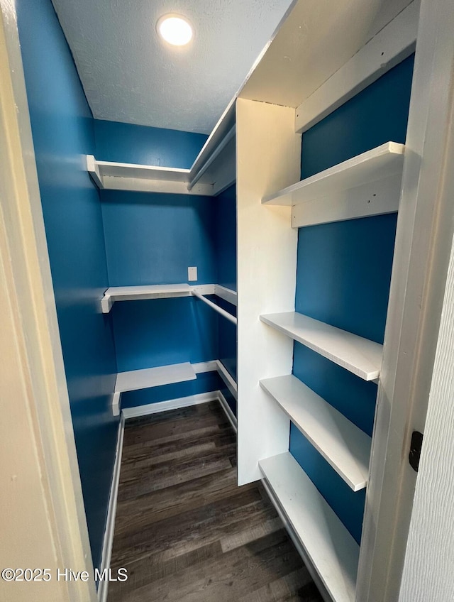 spacious closet with wood finished floors