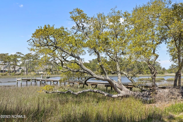 exterior space with a boat dock