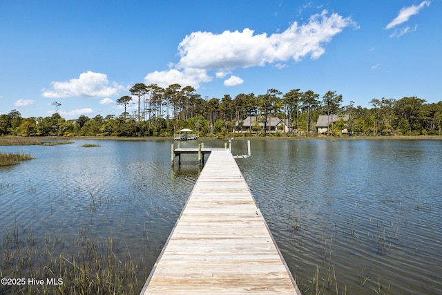 dock area with a water view