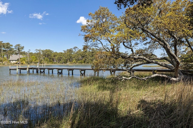 view of dock with a water view