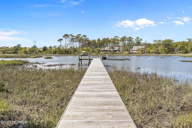 dock area with a water view