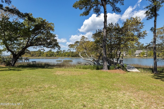 property view of water