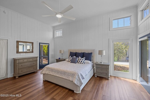 bedroom featuring a ceiling fan, multiple windows, and wood finished floors