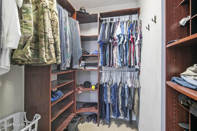 view of walk in closet